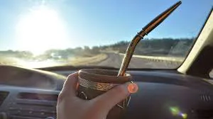 mate auto