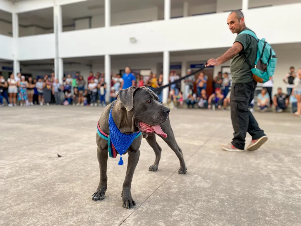 taller-perros-peligrosos-10-1024x768