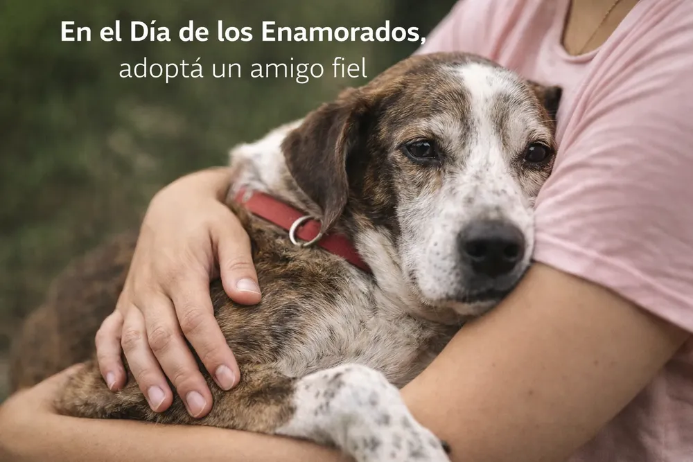 file_00000000fc2071f5a0dce21fb7f2cb72